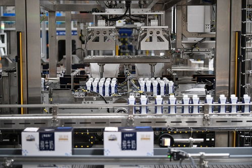 解密全球乳業首座全數智化工廠的高效能密碼 134556