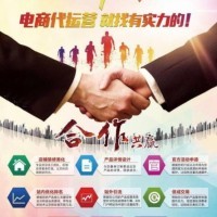 山西網站建設網站優化自然排名日上千次