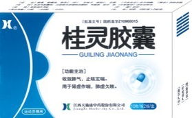 桂靈膠囊權(quán)威全解 招商指南、說明書與醫(yī)藥價(jià)值深度分析
